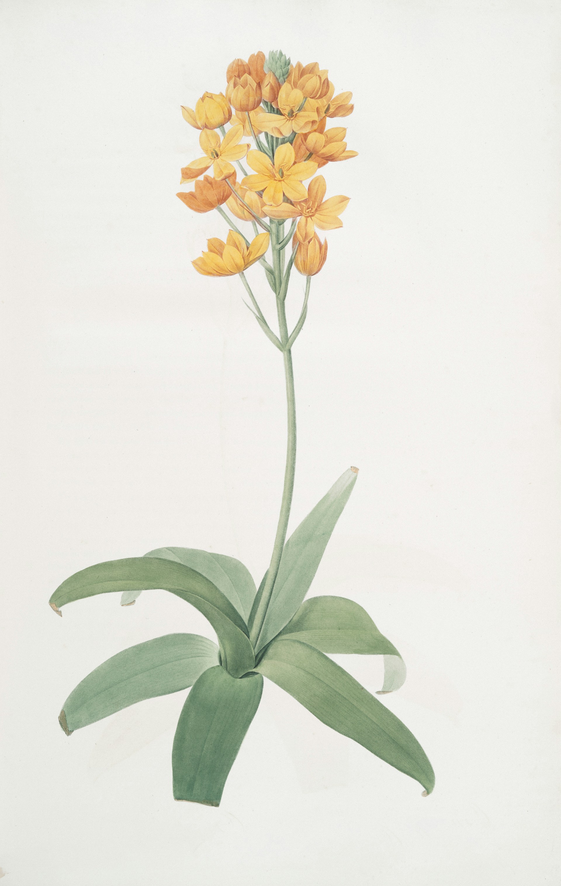 Portfolio showcase 3